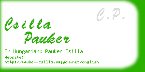 csilla pauker business card